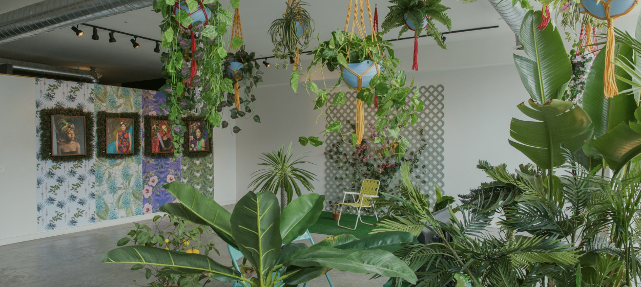 Image of a gallery with many plants